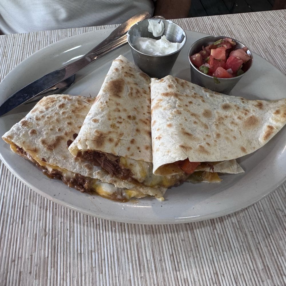 Nopal - Barbacoa Quesadilla lunch special - Mexican Near Me - Gainesville, Florida Nopal - Barbacoa Quesadilla lunch special - Mexican Near Me - Gainesville, Florida