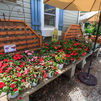 Wildwood Nurseries - Nurseries & Gardening Near Me - East Greenwich, Rhode Island Wildwood Nurseries - Nurseries & Gardening Near Me - East Greenwich, Rhode Island