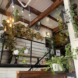 indoor fun