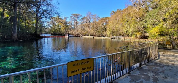 Fanning Springs State Park by null