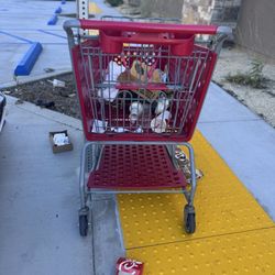 Ross Dress For Less - Right next to the store is trash every where