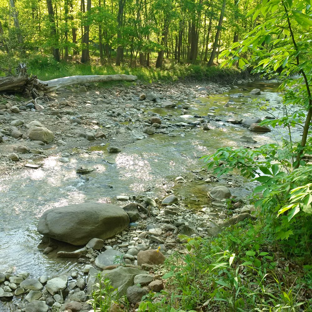 Furnace Run Trail - Hiking Near Me - Peninsula, Ohio Furnace Run Trail - Hiking Near Me - Peninsula, Ohio
