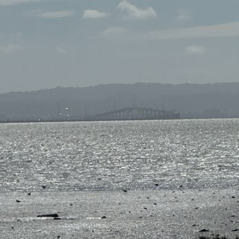 Hayward Regional Shoreline - San Mateo Bridge - Hiking Near Me - Hayward, California Hayward Regional Shoreline - San Mateo Bridge - Hiking Near Me - Hayward, California