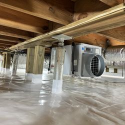 Central Virginia Exterminating & Crawlspace Solutions