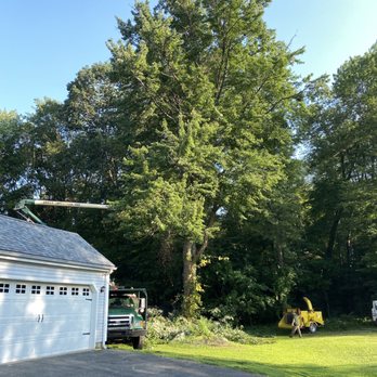 Urban Foresters, LLC - That tree was massive - Tree Services Near Me - Enfield, Connecticut Urban Foresters, LLC - That tree was massive - Tree Services Near Me - Enfield, Connecticut