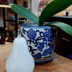 Lana Lang Shoes - One of the Lana Lang pears in the shop