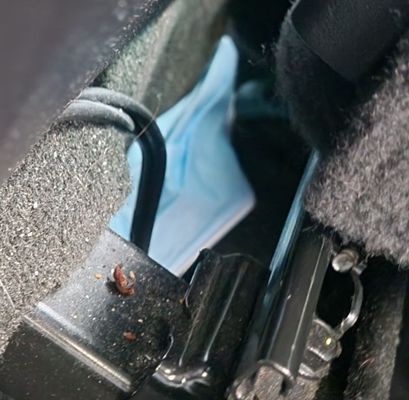 Fabulous Freddy’s by null