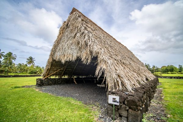 Kahanu Garden, National Tropical Botanical Garden by null