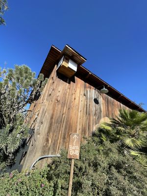 Apricot Lane Farms by null