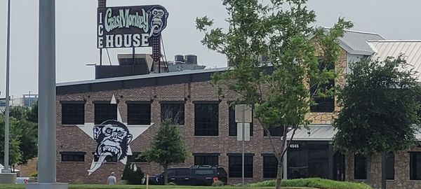 Gas Monkey Icehouse by null