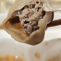 Qing Xiang Yuan Dumplings - Soup dumpling