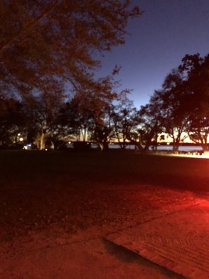 Lowndes Grove by null