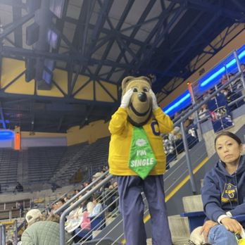 Haas Pavilion - Stadiums & Arenas Near Me - Berkeley, California Haas Pavilion - Stadiums & Arenas Near Me - Berkeley, California