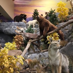 Bass Pro Shops - Wildlife tableau
