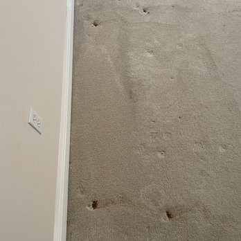Genuine Carpet Repairs - Carpeting Near Me