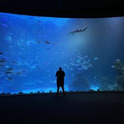 Poema del Mar - Real nice aquarium, well setup. Recommend a visit if in Las Palmas.