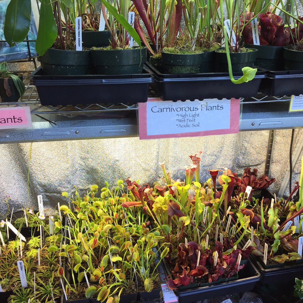 Indoor Sun Shoppe - Nurseries & Gardening Near Me - Seattle, Washington Indoor Sun Shoppe - Nurseries & Gardening Near Me - Seattle, Washington