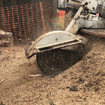 Stump Eliminator - Tree Services Near Me Stump Eliminator - Tree Services Near Me