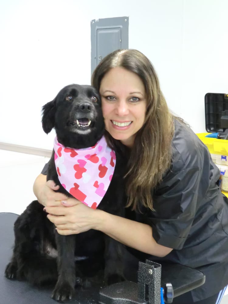 DOG GROOMING ACADEMY OF NORTHWEST INDIANA Updated August 2024 2849 Hwy Ave, Highland