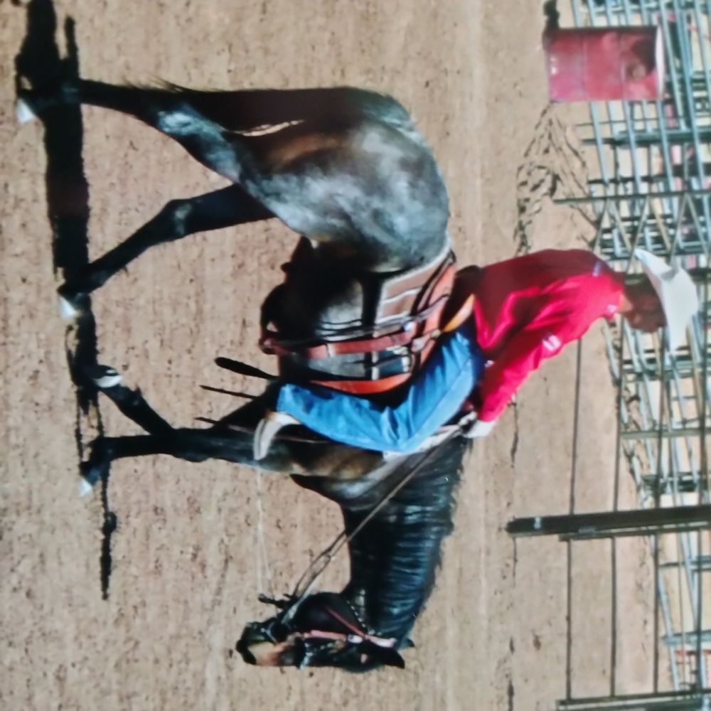 Gifford Equine Logo