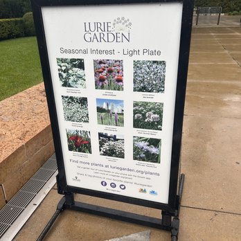 Lurie Garden - Botanical Gardens Near Me - Chicago, Illinois Lurie Garden - Botanical Gardens Near Me - Chicago, Illinois