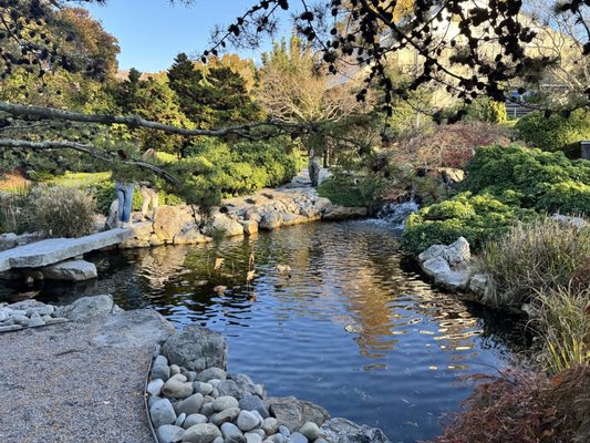 Norfolk Botanical Garden by null