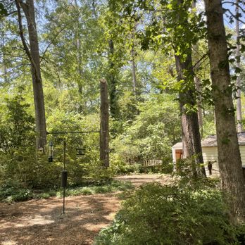 The Treeist - After--Enough of tree left to continue to support swing set and blend in with the yard - Tree Services Near Me The Treeist - After--Enough of tree left to continue to support swing set and blend in with the yard - Tree Services Near Me