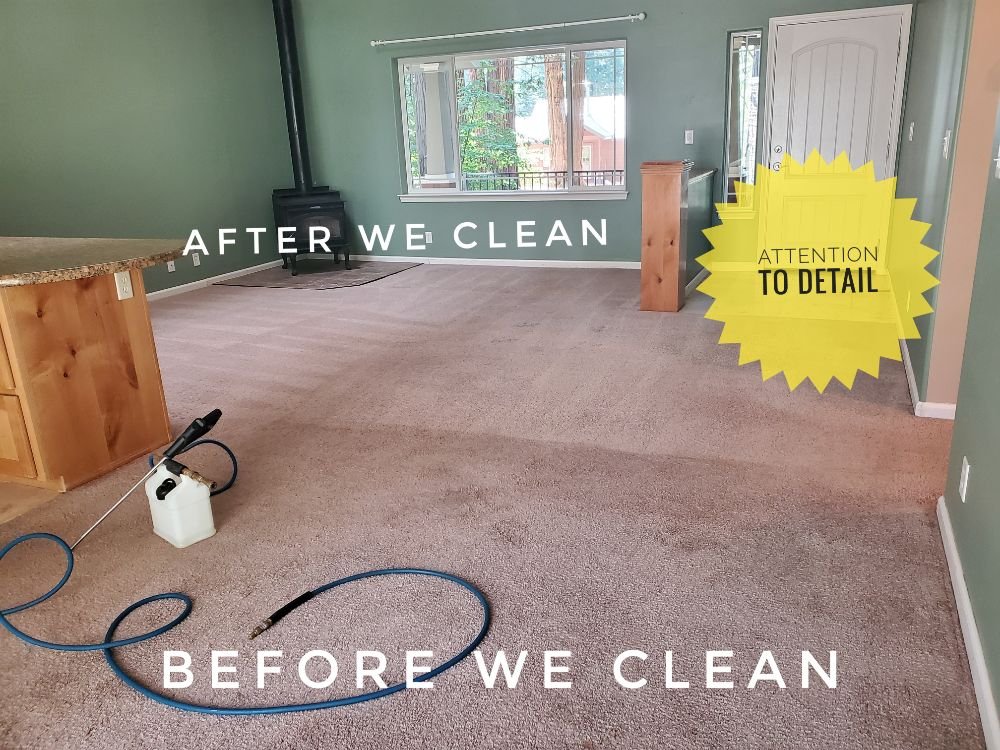 ATTENTION TO DETAIL CARPET SERVICES Updated August 2024 44 Photos