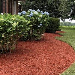 Gardens by Don