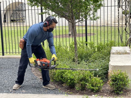 Landscaping & Garden Maintenance Available! - Please call me today to schedule your landscaping and garden maintenance needs. I take pride in my workmanship and would love to be your new landscaping maintenance guy! Call me today for a quote. Thank you!