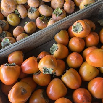 Riverdance Farms - Farmers Market Near Me - Livingston, California Riverdance Farms - Farmers Market Near Me - Livingston, California