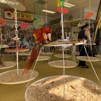 Omar's Exotic Birds - Pet Stores Near Me - Brea, California