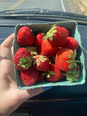 Midway Farms | Fresh Goods | Albany by null