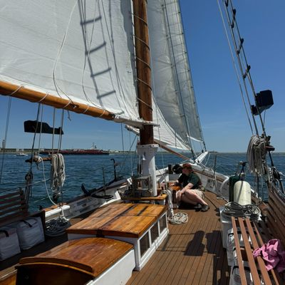 Liberty Fleet of Tall Ships Boston by null