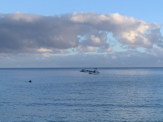 Waimea Bay by null