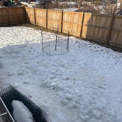 DMV Poop Patrol - A clean snowscape again!