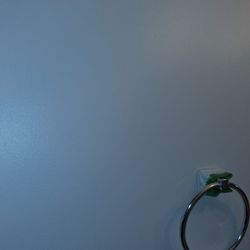 The Paint Doctor - Bathroom color change!