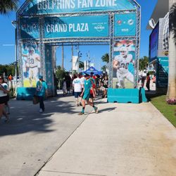 Miami Dolphins