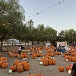 Peltzer Pumpkin Farm