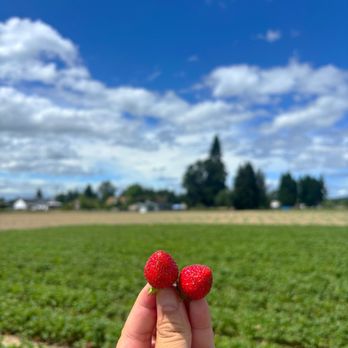 Picha Farms - Specialty Food Near Me - Puyallup, Washington