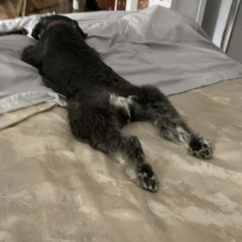 Mariners Mile Pet Clinic - My pup, taking a break. - Veterinarians Near Me - Newport Beach, California Mariners Mile Pet Clinic - My pup, taking a break. - Veterinarians Near Me - Newport Beach, California