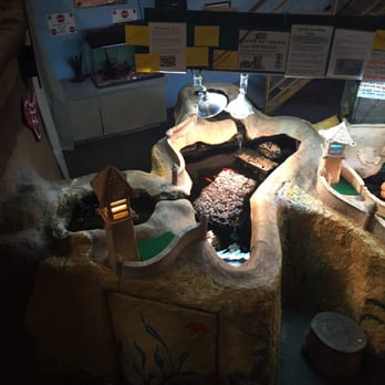 Upper Peninsula Children's Museum - Creature Kingdom - Children's Museums Near Me - Marquette, Michigan Upper Peninsula Children's Museum - Creature Kingdom - Children's Museums Near Me - Marquette, Michigan