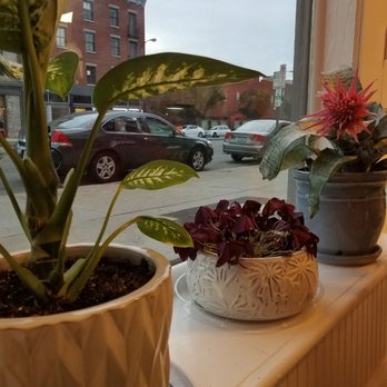 Gigi Tea Time - Street view of Richmond from inside the shop. - Bubble Tea Near Me - Richmond, Virginia Gigi Tea Time - Street view of Richmond from inside the shop. - Bubble Tea Near Me - Richmond, Virginia