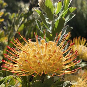 Kula Botanical Gardens - Parks Near Me - Kula, Hawaii