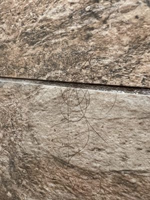 Westgate Smoky Mountain Resort & Water Park by null