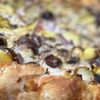 Mazza Pizzeria gift card