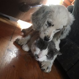This isn't a picture of Rendez Vous Café, these are my pets and I love them. This isn't a picture of Rendez Vous Café, these are my pets and I love them.