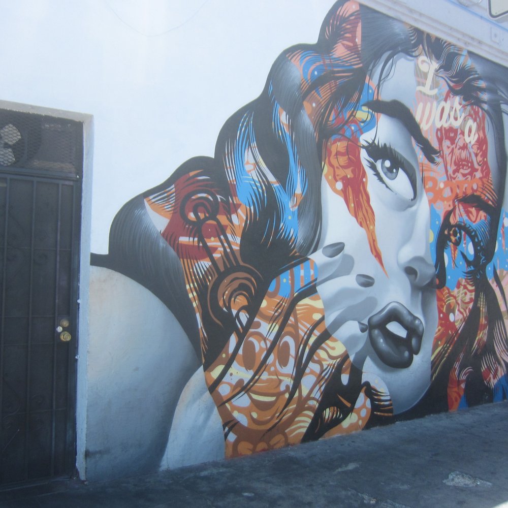 Graff Tours - "I Was a Botox Junkie" by Tristan Eaton (http://muralconservancy.org/murals/i-was-botox-junkie) - Art Tours Near Me Graff Tours - "I Was a Botox Junkie" by Tristan Eaton (http://muralconservancy.org/murals/i-was-botox-junkie) - Art Tours Near Me