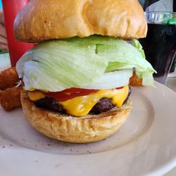 Bridgeport Inn - 1/2 lb burger is a two-hander