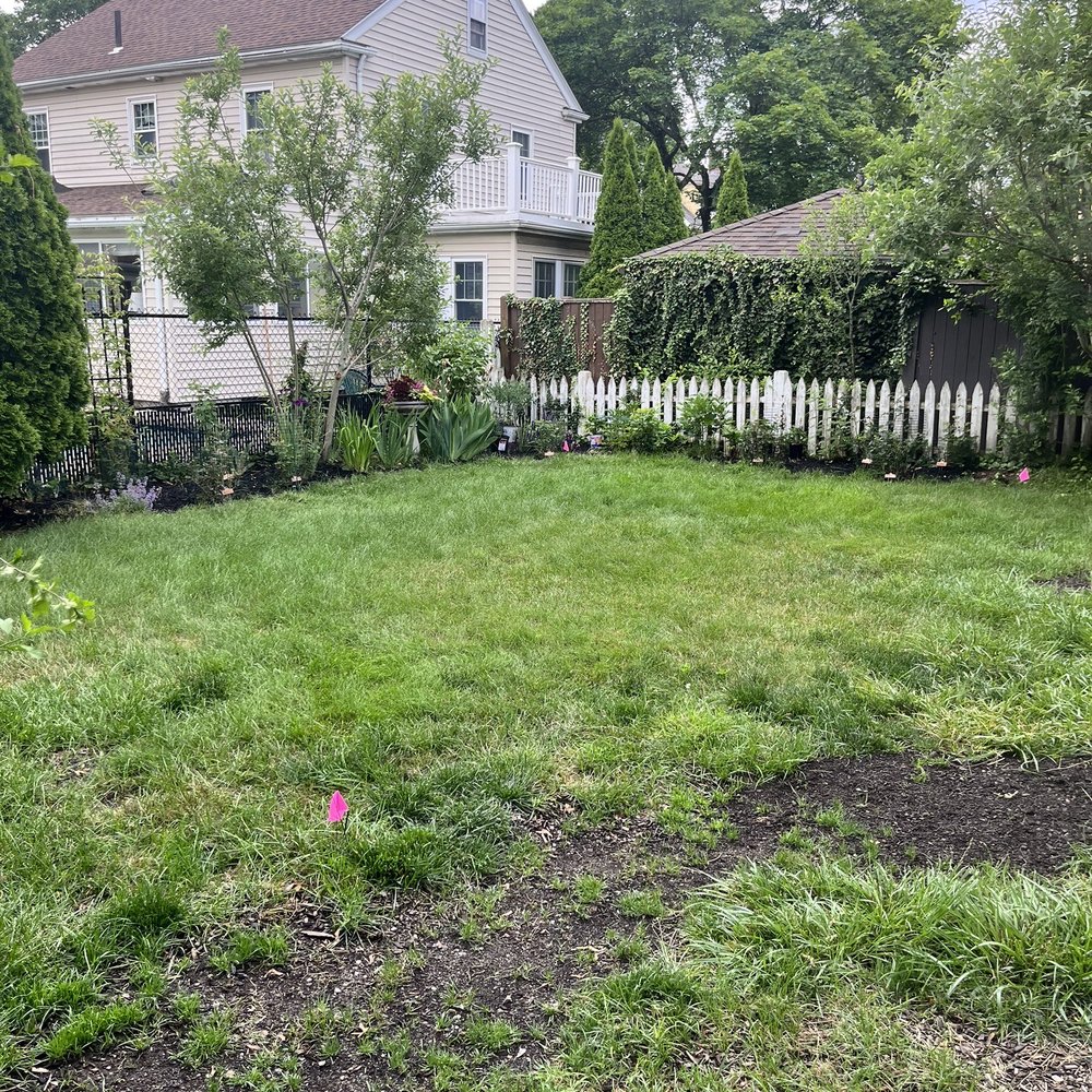 Lamacchia Landscape Construction - BEFORE back yard where patio got installed. - Landscaping Near Me - Newton, Massachusetts